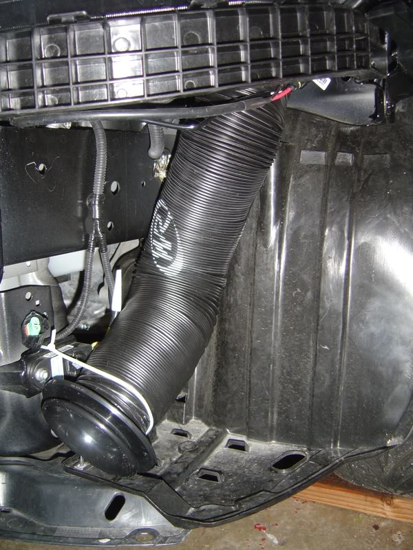 Name:  DSC03193.jpg
Views: 80
Size:  118.5 KB