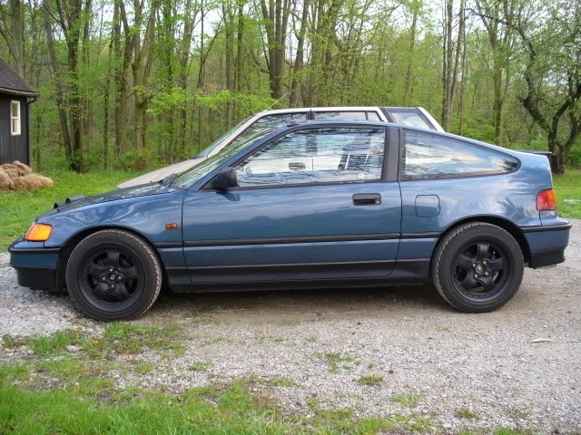 Name:  P1000405.jpg
Views: 412
Size:  117.7 KB