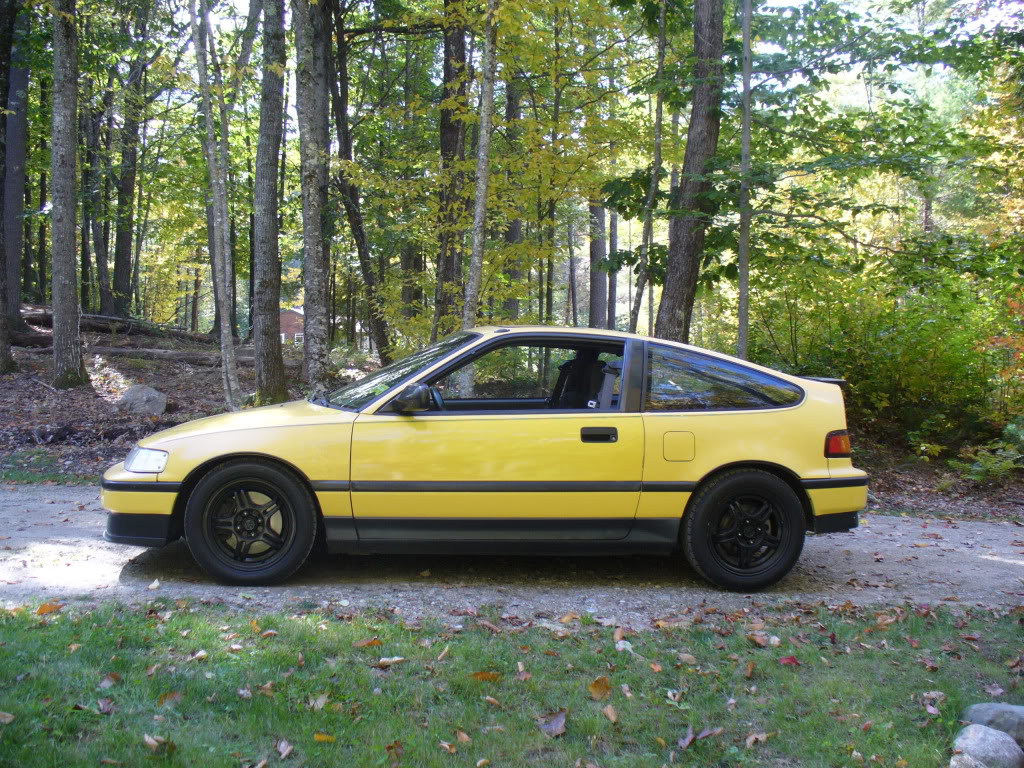 Name:  P1050909.jpg
Views: 372
Size:  310.8 KB