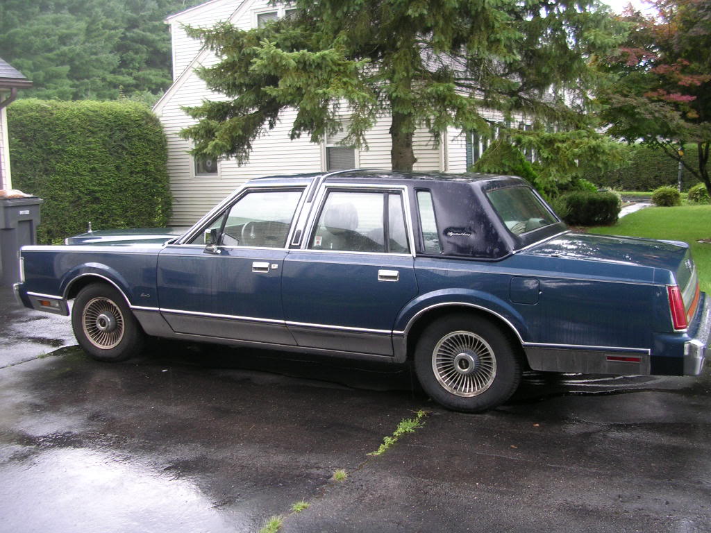 Name:  DSCN3235.jpg
Views: 42
Size:  151.2 KB