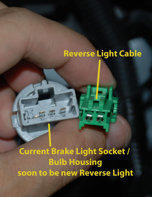 Name:  tail-light-sockets.jpg
Views: 1039
Size:  44.4 KB
