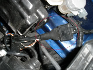 Name:  P8280009-1.jpg
Views: 79
Size:  20.0 KB