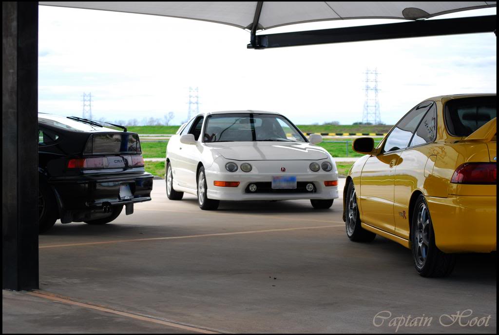 Name:  DSC_2618_zps34d7415e.jpg
Views: 2469
Size:  69.7 KB