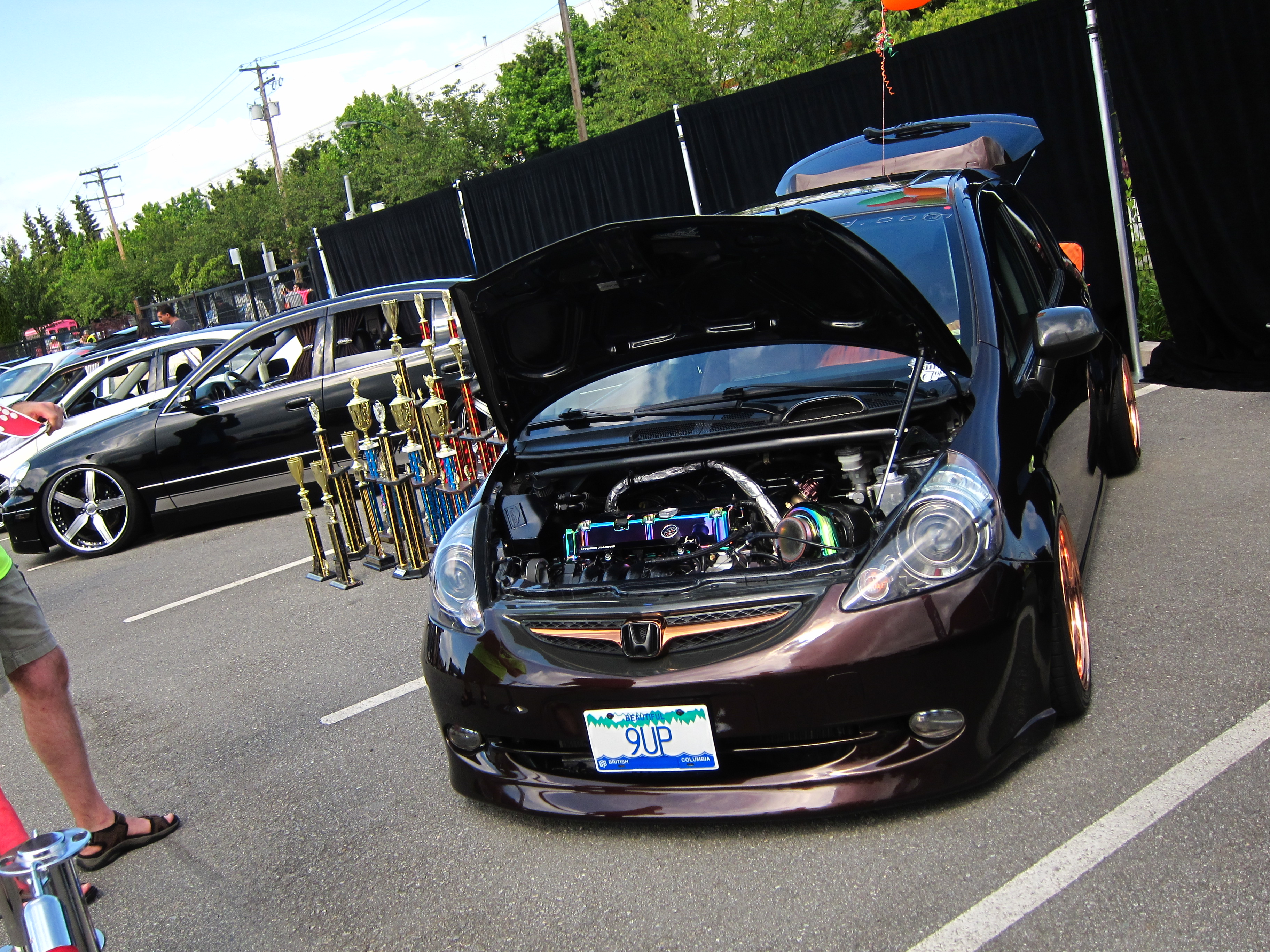 Name: IMG_2709_zpsd36cb600.jpg
Views: 611
Size: 3.05 MB