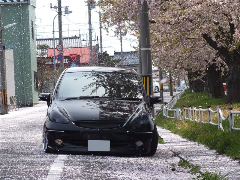 Name:  r1.jpg
Views: 5318
Size:  137.0 KB