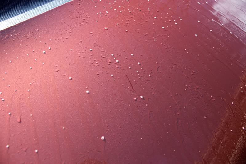 Name: HoodIron-XClose-Up.jpg
Views: 894
Size: 79.2 KB