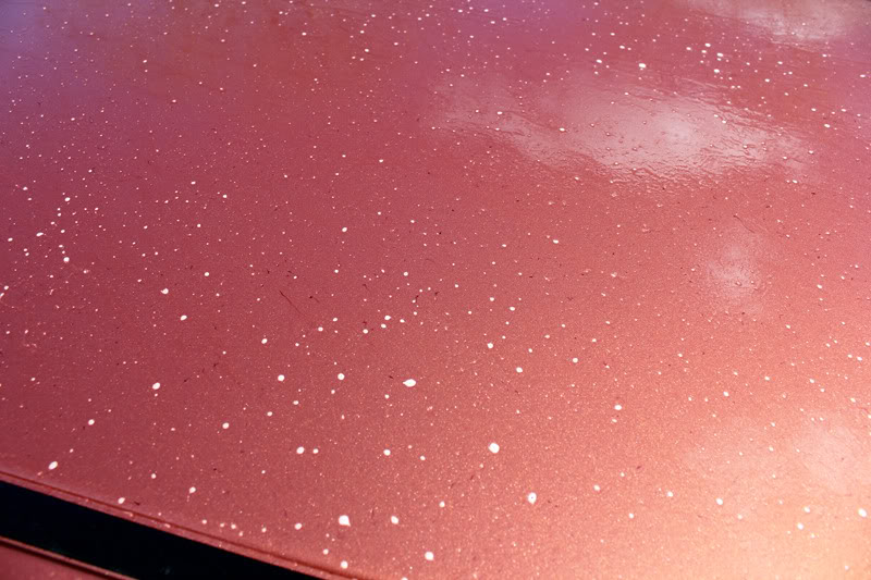 Name: RoofIron-XClose-UP.jpg
Views: 917
Size: 92.6 KB