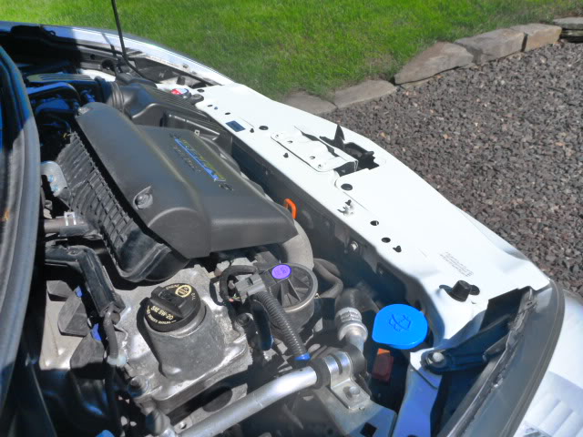 Name:  P1010887.jpg
Views: 506
Size:  74.6 KB