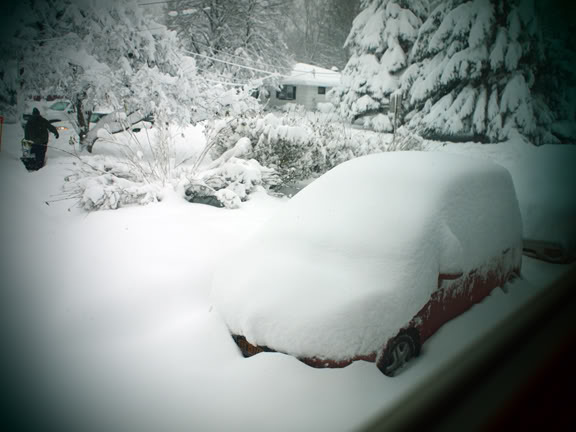 Name:  snowcoveredfit.jpg
Views: 63
Size:  41.1 KB