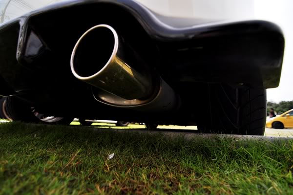 Name:  DSC_0667.jpg
Views: 1279
Size:  39.3 KB