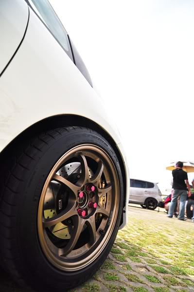 Name:  DSC_0671.jpg
Views: 1281
Size:  38.6 KB