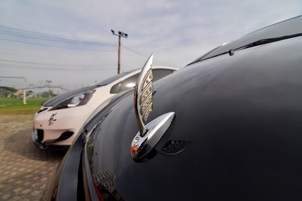 Name:  DSC_0755.jpg
Views: 1279
Size:  23.6 KB