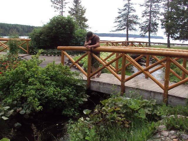 Name:  DSC01336Small.jpg
Views: 134
Size:  74.2 KB