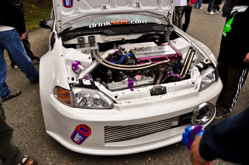 Name: DSC_0044.jpg
Views: 231
Size: 124.6 KB