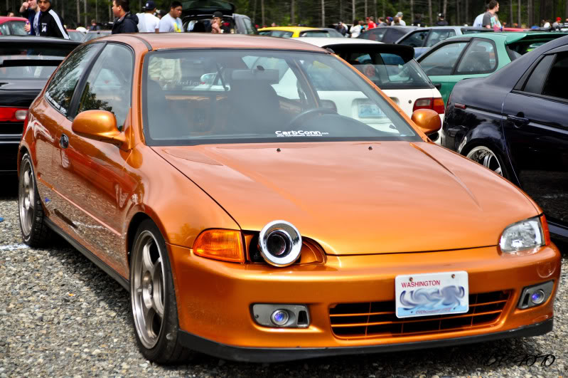 Name:  DSC_0032.jpg
Views: 193
Size:  123.0 KB