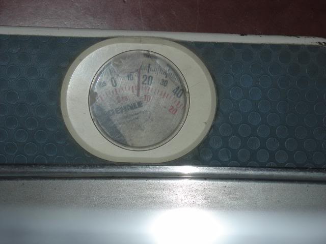 Name:  DSC01736.jpg
Views: 508
Size:  33.5 KB