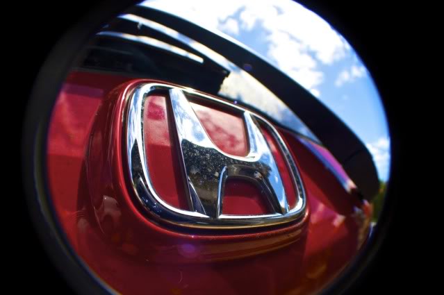 Name:  IMG_2159.jpg
Views: 215
Size:  33.7 KB