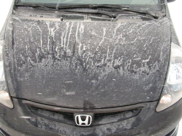 Name:  100_0191.jpg
Views: 70
Size:  118.4 KB