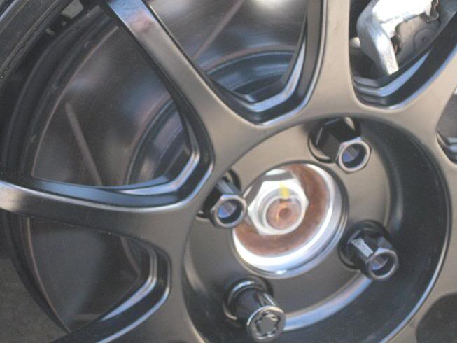 Name:  newlugs1.jpg
Views: 37
Size:  38.8 KB