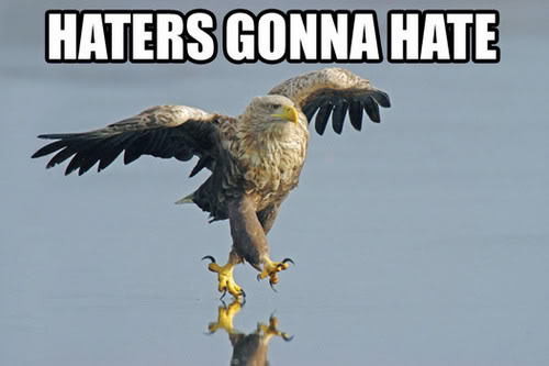 Name:  haters-gonna-hate-eagle.jpg
Views: 46
Size:  24.1 KB