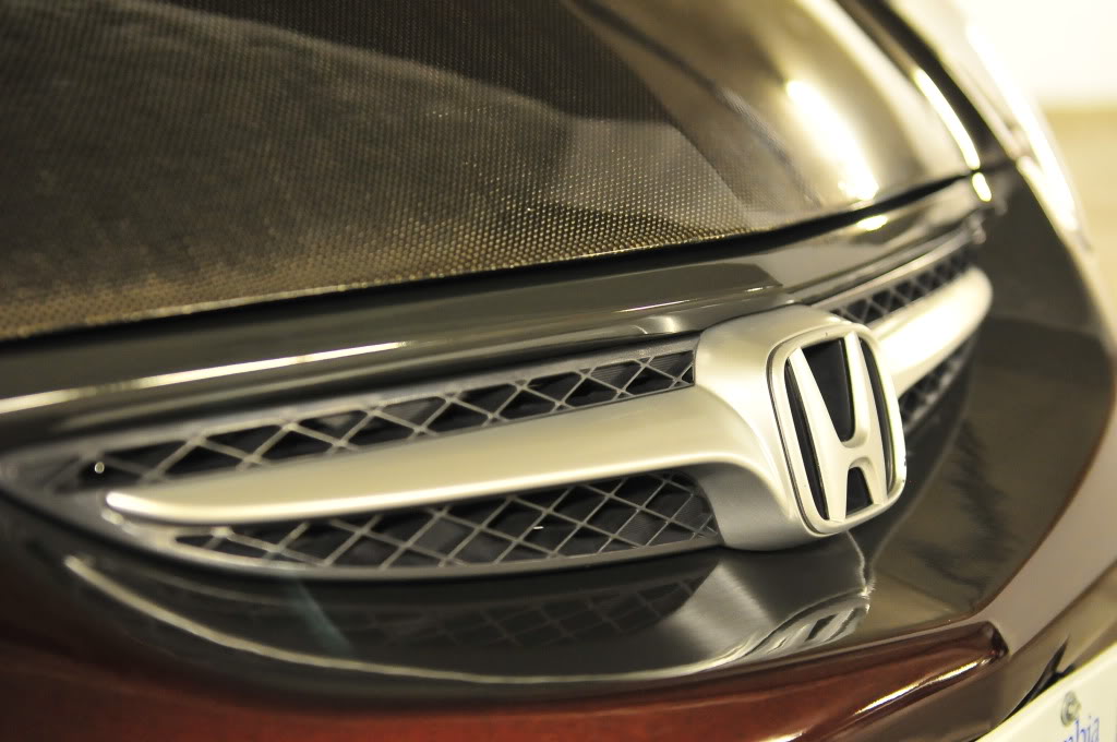 Name:  2010janfitshoot059.jpg
Views: 247
Size:  121.8 KB