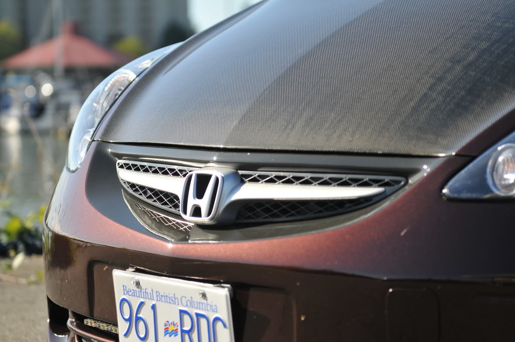 Name:  DSC_1383.jpg
Views: 74
Size:  144.6 KB