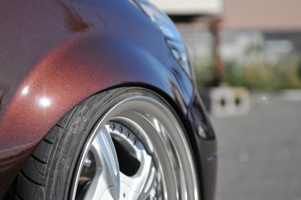 Name:  DSC_1410.jpg
Views: 83
Size:  108.0 KB