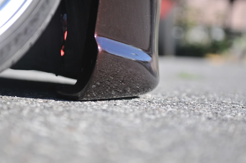 Name:  DSC_1415.jpg
Views: 76
Size:  91.6 KB