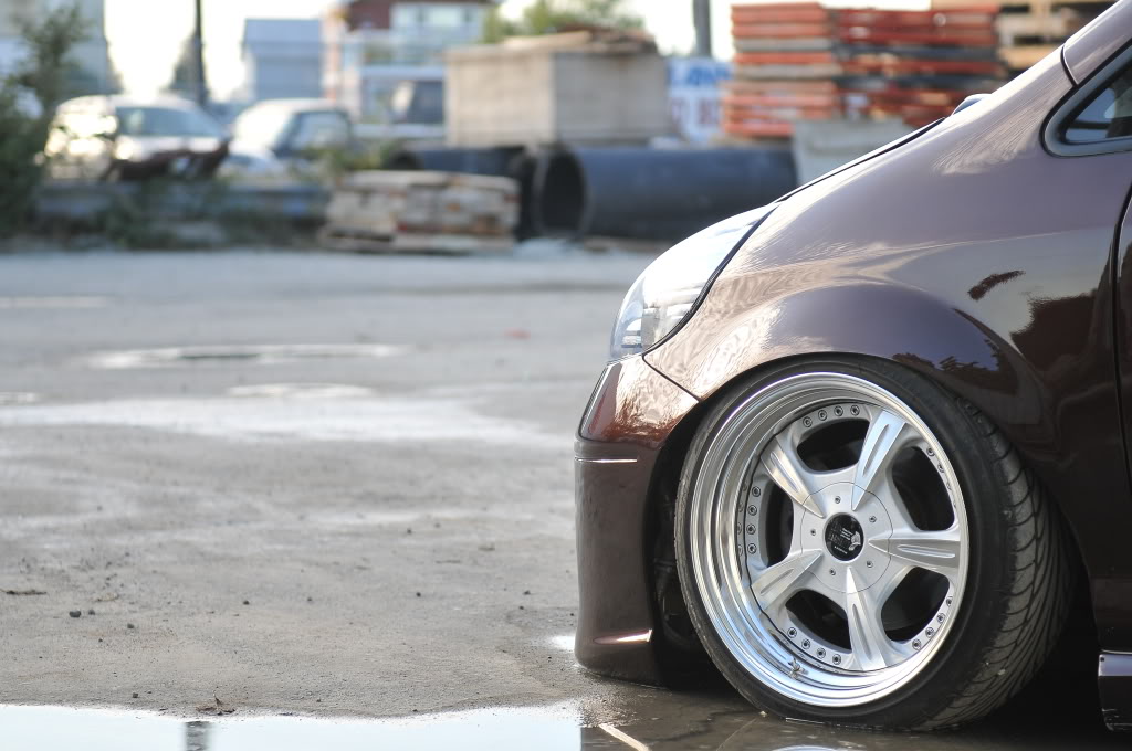 Name:  DSC_1453.jpg
Views: 81
Size:  133.0 KB