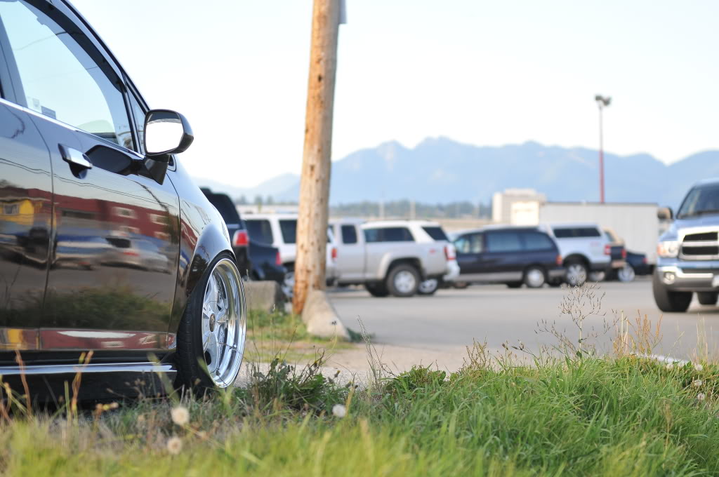 Name:  DSC_1513.jpg
Views: 97
Size:  138.0 KB