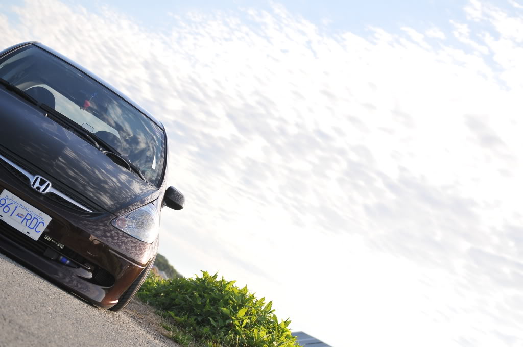 Name:  DSC_1539.jpg
Views: 77
Size:  114.4 KB