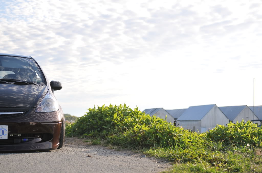 Name:  DSC_1548.jpg
Views: 76
Size:  150.1 KB