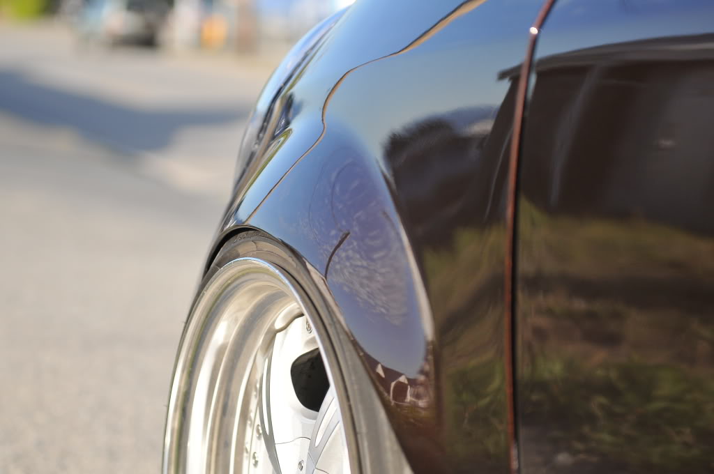 Name:  DSC_1559.jpg
Views: 74
Size:  86.9 KB