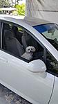 Mangosmooody's 2007 Fit build-80-20160704_134505_63e4270f8e79c4304069c329e4b488437b108c24.jpg