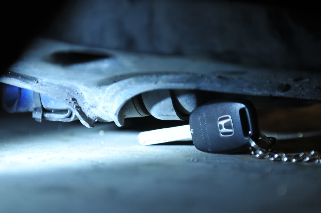 Name:  DSC_1327.jpg
Views: 72
Size:  81.8 KB