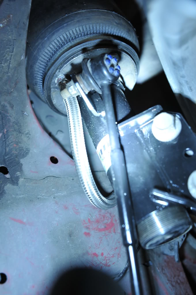 Name:  DSC_1311.jpg
Views: 95
Size:  124.2 KB