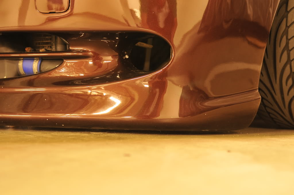 Name:  DSC_1255.jpg
Views: 91
Size:  101.8 KB