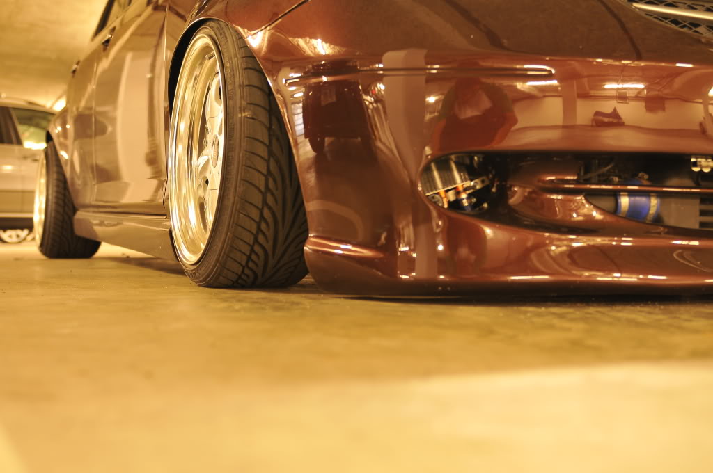 Name:  DSC_1260.jpg
Views: 83
Size:  109.5 KB