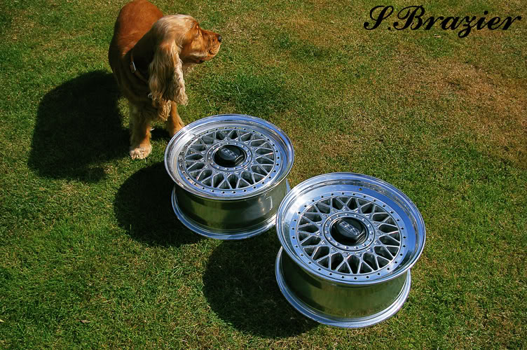 Name:  SG1S4283small.jpg
Views: 183
Size:  172.3 KB
