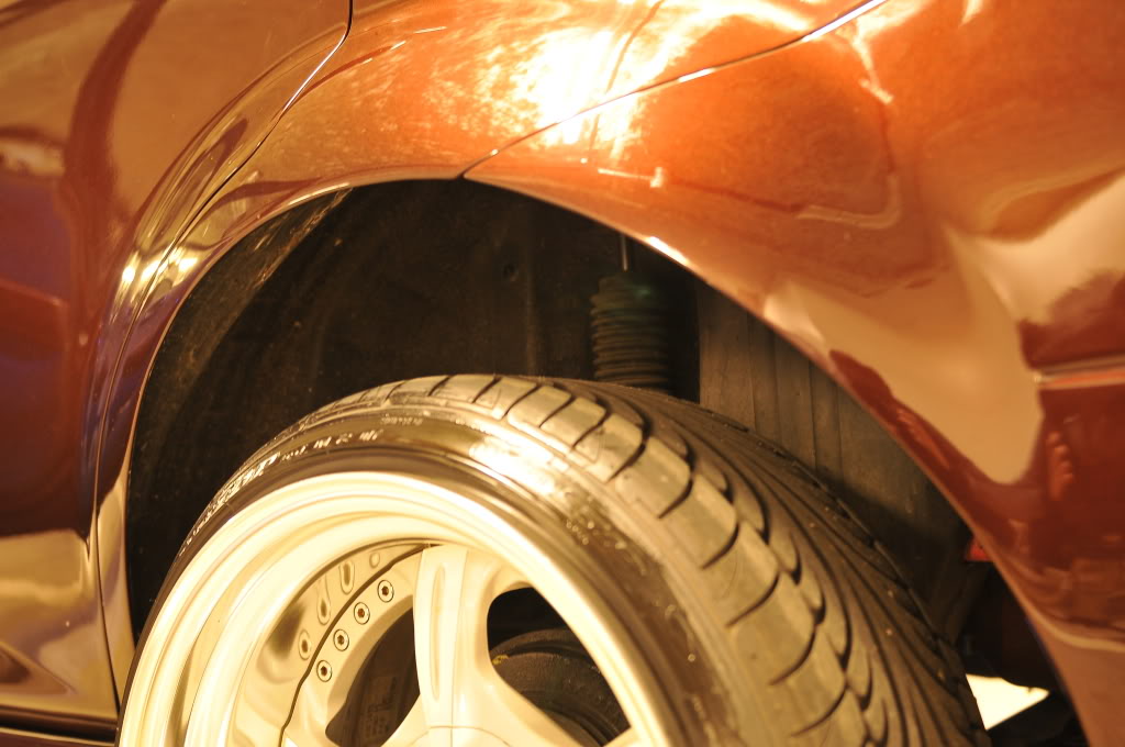 Name:  DSC_1175.jpg
Views: 70
Size:  119.9 KB