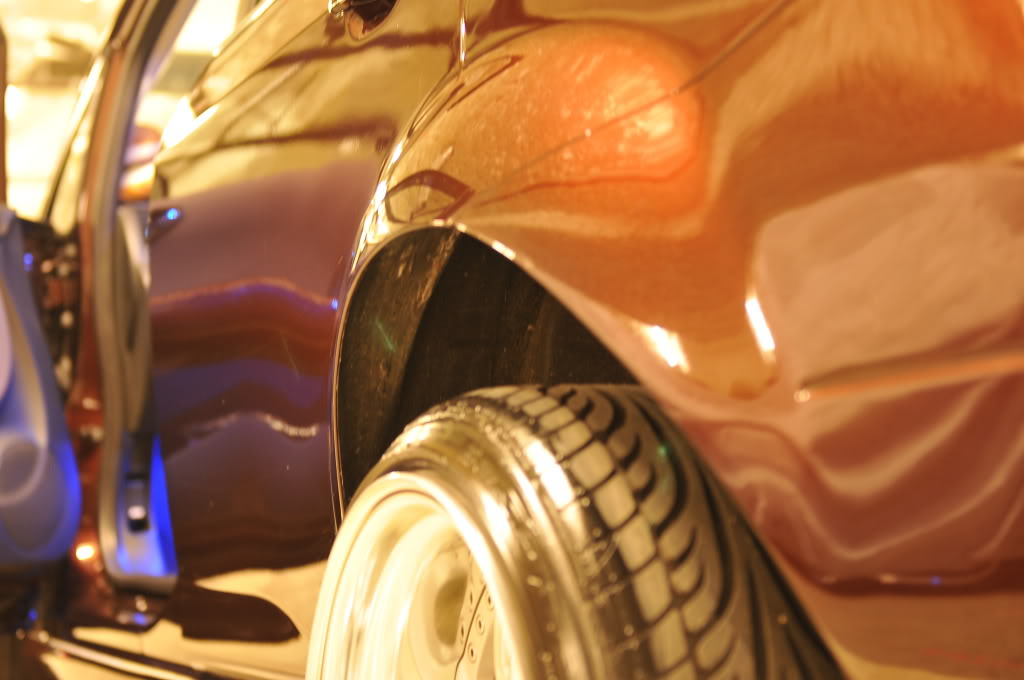 Name:  DSC_1177.jpg
Views: 71
Size:  102.9 KB