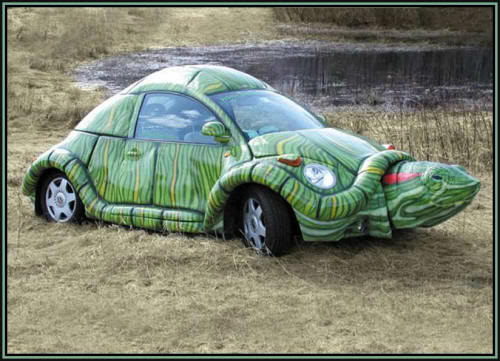 Name:  wild-car-bug.jpg
Views: 100
Size:  40.3 KB