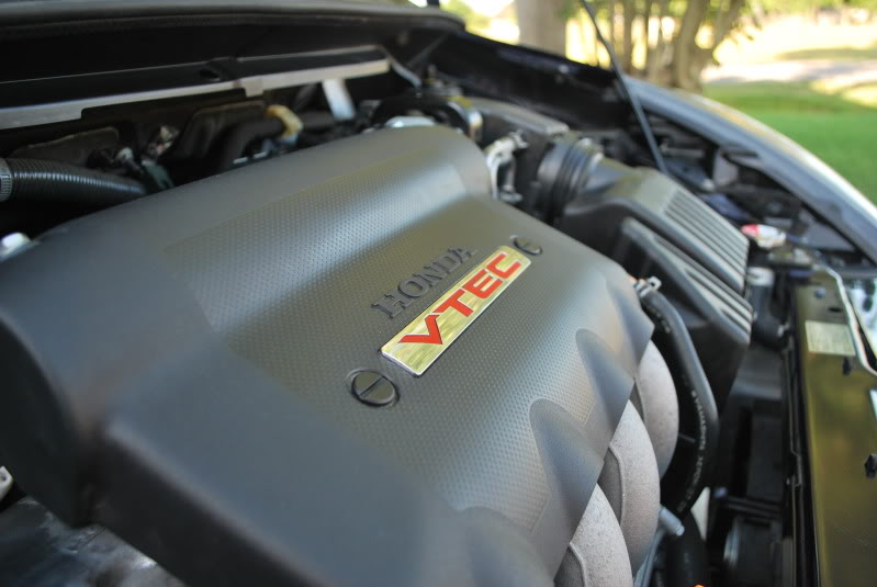 Name:  DSC_2503.jpg
Views: 194
Size:  80.7 KB