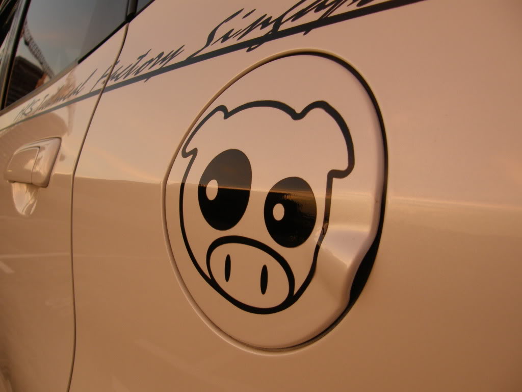 Name:  P6080301.jpg
Views: 355
Size:  80.5 KB