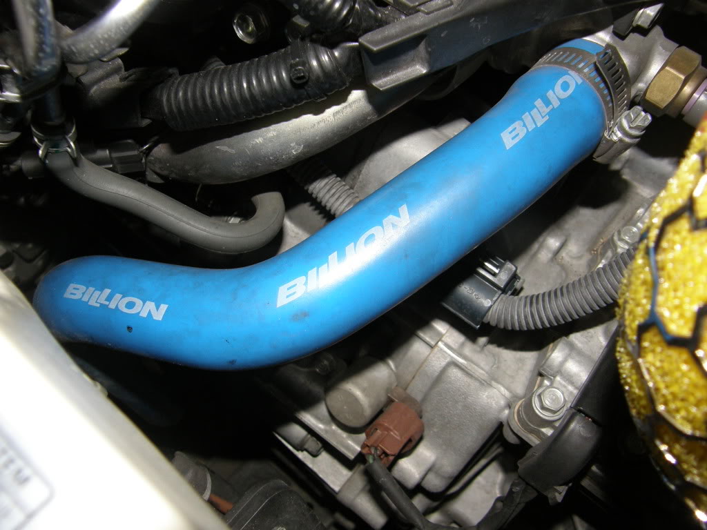 Name:  P6080380.jpg
Views: 337
Size:  129.9 KB