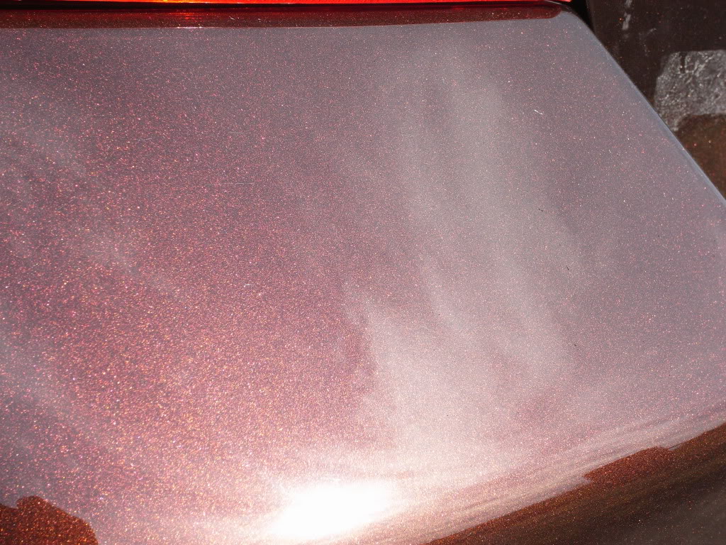 Name: R0018258.jpg
Views: 182
Size: 265.6 KB