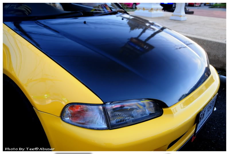 Name:  DSC_7899.jpg
Views: 88
Size:  107.2 KB