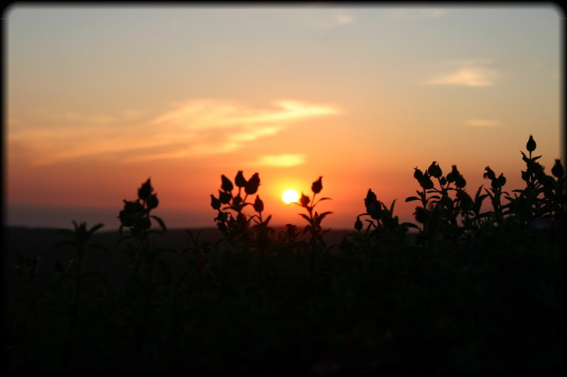 Name: IMG_8877.jpg
Views: 34
Size: 31.0 KB