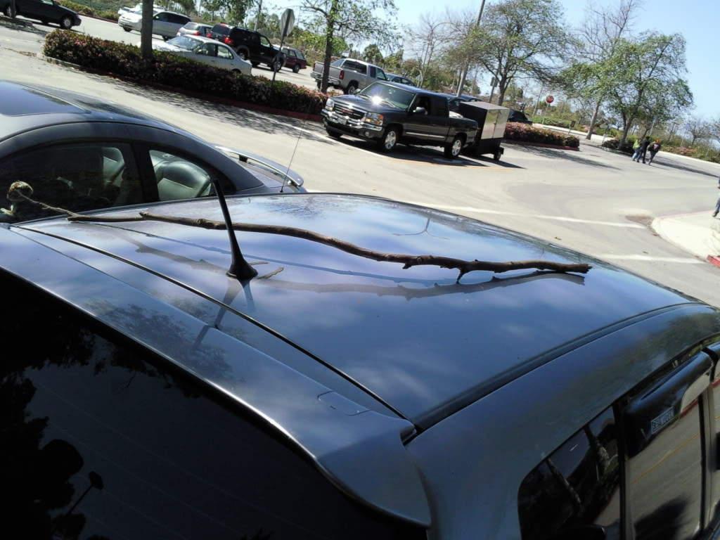 Name:  Photo057.jpg
Views: 133
Size:  128.2 KB