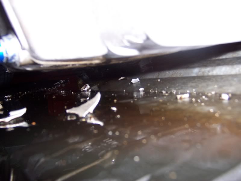 Name: 100_8109.jpg
Views: 413
Size: 36.4 KB